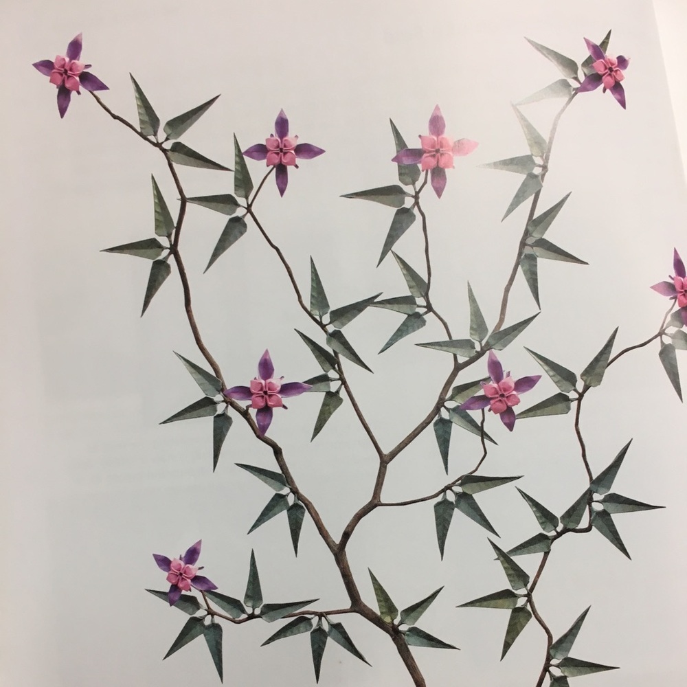 Meet your Posher, Betty